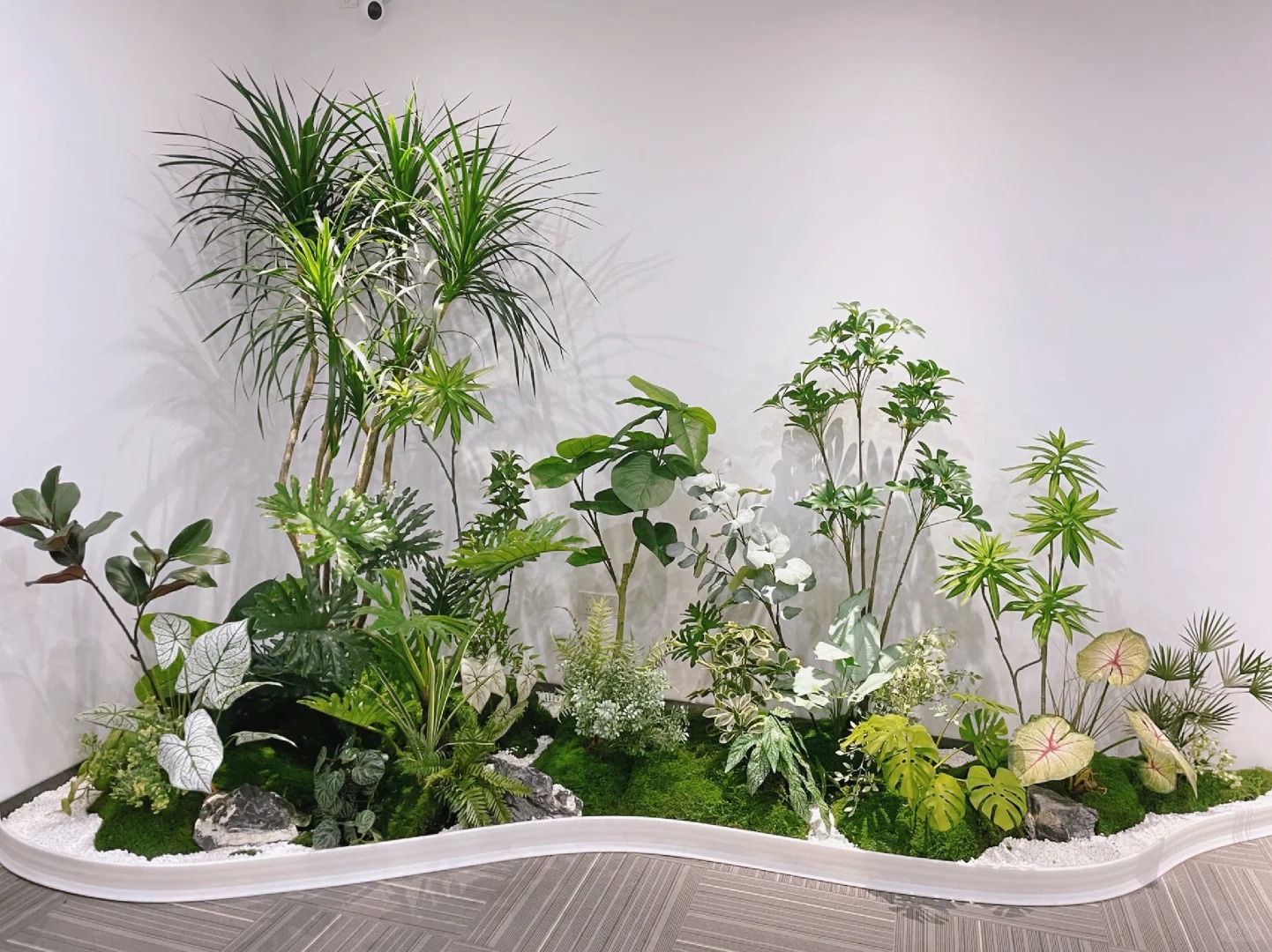 了解余姚花卉租摆公司，解锁绿植新体验